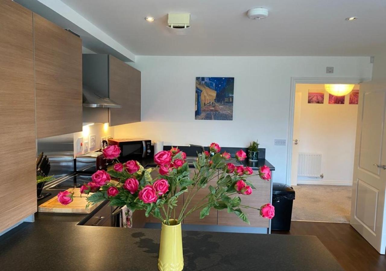 Contemporary, Cosy & Homely 2 Bed With High-speed Wifi, Terrace & Free Parking Overlooking Stourbridge Common Park & Coldham's Brook
